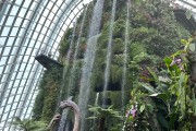 13-Singapore - Cloud Forest